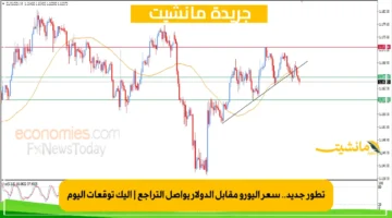 تطور جديد.. سعر اليورو مقابل الدولار يواصل التراجع إليك توقعات اليوم 1